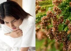 Phòng tránh cơn hen cấp lúc giao mùa