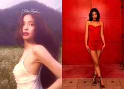 "Thiên thần sa ngã" Jennie đẹp thế này vẫn sợ bị bỏ rơi, níu kéo người cũ