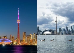 Thủ đô của Canada cân nhắc đổi tên đường mang tên Tổng thống Trump