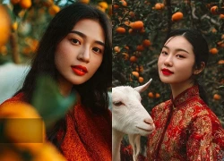 Tử vi ngày mai: 4 con giáp tỉ mỉ, chu đáo trong công việc, nhận lộc lớn trong 6 tháng tới, cuộc sống an lành