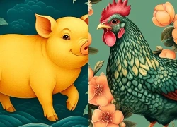 3 con giáp đón tuần mới vận may phủ kín