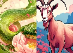 Dự báo tử vi tuần mới cho con giáp Tý, Mão, Thìn, Tỵ, Ngọ, Mùi, Thân, Tuất Hợi cần thận trọng trước khi sang tháng 7 âm lịch