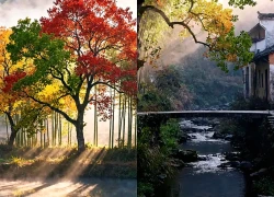 Giờ sinh Âm lịch của người được quý nhân nâng đỡ cuối năm, tiền bạc tràn về liên tục