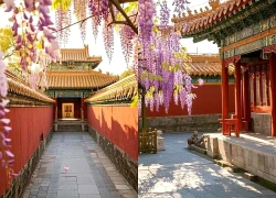 Tháng sinh Âm lịch của người có khí chất nổi bật, càng già càng giàu sang
