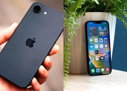 Lựa chọn iPhone cũ hiệu năng tốt, giá rẻ phù hợp học sinh, sinh viên