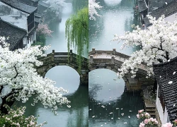 Giờ sinh Âm lịch của người có số gặp quý nhân: Sự nghiệp càng làm càng lên như diều gặp gió