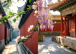 Ngày sinh Âm lịch của người có cuộc sống thuận lợi, dễ gặp người nâng đỡ