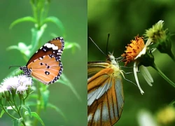 Ngày sinh Âm lịch của người có quý nhân đưa đường, hậu vận hưởng phúc lộc tràn trề