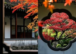 Ngày sinh Âm lịch của người đi đâu cũng gặp quý nhân nâng đỡ, sự nghiệp rộng mở