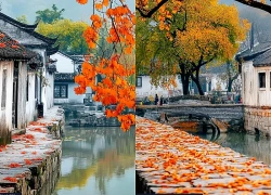 Ngày sinh Âm lịch của người sinh ra đã có 'chìa khóa tài lộc' trong tay