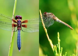Số cuối ngày sinh Âm lịch của người có đầu óc kinh doanh thiên bẩm
