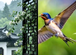 Số cuối ngày sinh Âm lịch của người trí tuệ, bản lĩnh, càng va vấp càng dễ bật lên