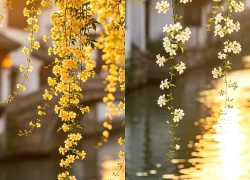 Số cuối ngày sinh Âm lịch của người vừa giỏi làm ăn vừa khéo giữ lửa gia đình
