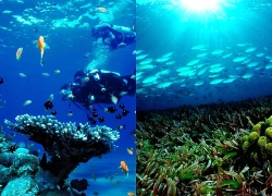 Tầm quan trọng của nghiên cứu đại dương trong ứng phó biến đổi khí hậu