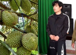 Thất nghiệp, thanh niên từ Hải Phòng vào Đắk Lắk cắt trộm 1,6 tấn sầu riêng