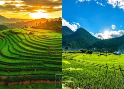 Mùa xanh trên những thửa ruộng bậc thang