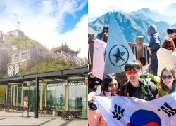 Fansipan rực rỡ mùa hoa xác pháo