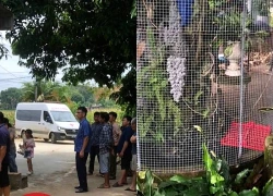 Hai vợ chồng bị điện giật tử vong khi lau bể cá cảnh