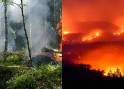 Indonesia báo động nguy cơ cháy rừng nghiêm trọng do El Nino