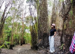 Khám phá 'Khu rừng cổ tích' ven biển tại TP Hồ Chí Minh