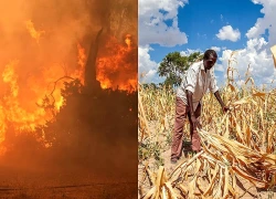 LHQ cảnh báo tác động của El Nino