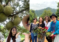 Mỗi gia đình một chuyến du lịch quê hương