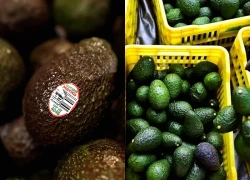 Mỹ: Tạm dừng nhập khẩu bơ Mexico do lo ngại vấn đề an ninh