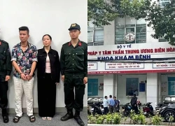 Truy tố 'bà trùm' Nguyễn Thị Mai Anh về 3 tội danh