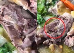 Vụ dòi bò lúc nhúc trong bữa tiệc tân gia: Xử phạt chủ nhà hàng 27 triệu đồng