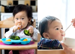 Ăn dặm truyền thống hay ăn dặm tự chỉ huy tốt hơn cho sự phát triển của trẻ?