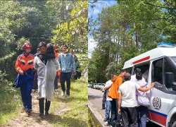 Bé gái 9 tuổi vào rừng hái nấm rồi mất tích, gần 20 giờ sau được cứu hộ tìm thấy ở nơi không ai ngờ