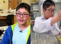 Cậu bé 12 tuổi gốc Việt trở thành thủ khoa tại Mỹ với điểm số tuyệt đối