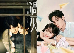 Dù gây tranh cãi, Điền Hi Vi và Trương Lăng Hách vẫn thống trị iQIYI