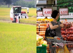 Hàn Quốc trước bài toán khó về nâng tỷ lệ tự cung lương thực