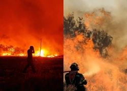 Hy Lạp tạm giam một thị trưởng tình nghi gây thảm họa cháy rừng