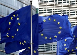 Iceland trước cuộc trưng cầu ý dân về nối lại đàm phán gia nhập EU