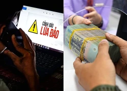 Sập bẫy đối tác 'ăn chia' hợp đồng, nữ chủ tịch HĐQT mất tiền tỷ