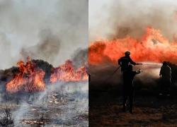 Thiệt hại do cháy rừng tăng vọt, phần lớn vẫn chưa được bảo hiểm tại châu Âu