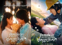 Tin vui cho Đoàn Thiên Ân sau số tiền 119 tỷ đồng