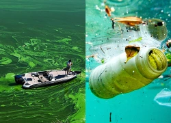 Toàn bộ nguồn nước tại Anh bị phát hiện ô nhiễm hóa chất độc hại