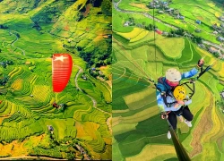 Bay giữa trời thu, ngắm mùa vàng Tú Lệ