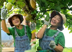 Bên trong khu vườn 4.000m2 ven sông Hồng của diễn viên Tú Oanh