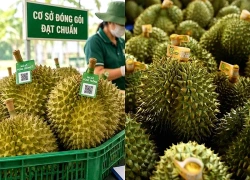 Chính phủ giao Bộ Công an xử lý nghiêm hành vi gian lận mã số vùng trồng