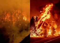 Mỹ: Cháy rừng lan nhanh, hàng nghìn người phải sơ tán
