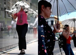 Mỹ trải qua tháng 7 nóng nhất lịch sử