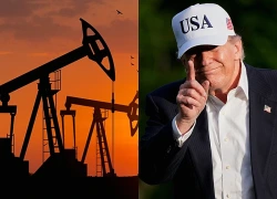 Tập đoàn Trump chuyển hướng sang năng lượng nhiệt hạch khi kinh doanh sa sút