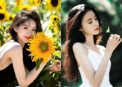 Trúng số độc đắc vào đúng 2 ngày liên tiếp (11/8-12/8), 3 con giáp hồng phúc Tề Thiên, hút cạn lộc Trời, 'đạp trúng rương vàng', sự nghiệp bừng sáng rực rỡ
