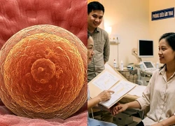 7 dấu hiệu chất lượng trứng suy giảm và cách tăng cơ hội mang thai