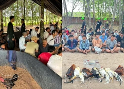 Cảnh sát đột kích sới gà ẩn náu trong vườn cao su, 40 người không kịp trở tay