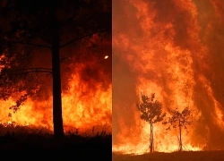 Cháy rừng diễn biến nghiêm trọng tại nhiều nước châu Âu